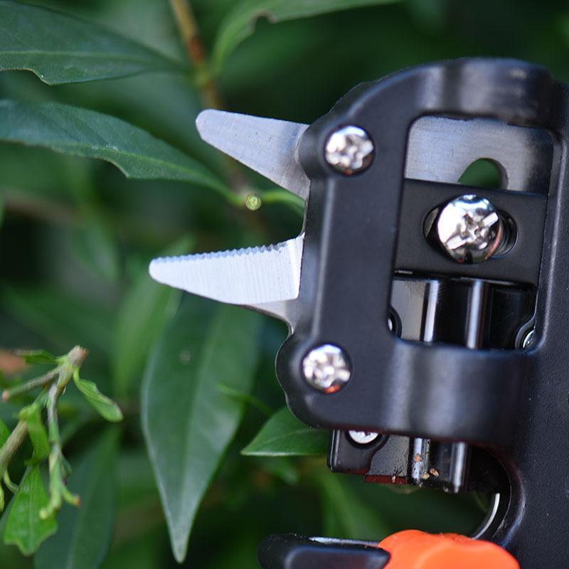 2 in 1 Graft Tool Pro