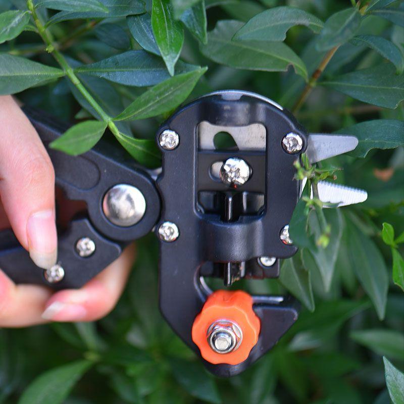 2 in 1 Graft Tool Pro