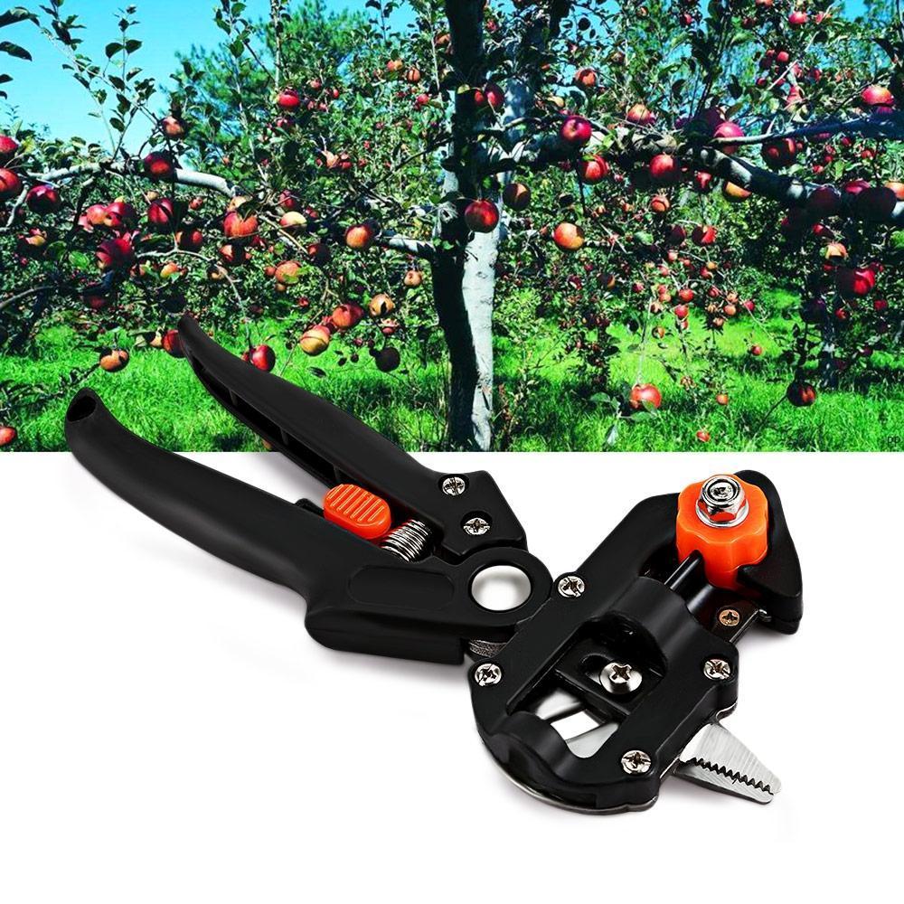 2 in 1 Graft Tool Pro