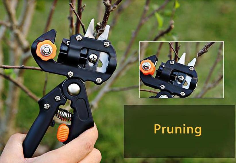 2 in 1 Graft Tool Pro